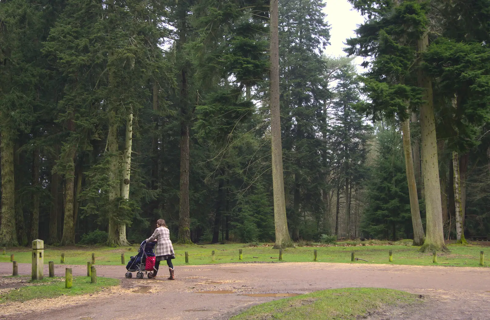 Isobel and Harry wander off at Rhinefield, from The Ornamental Drive, Rhinefield, New Forest - 20th March 2013