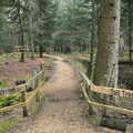 The Tall Trees trail, The Ornamental Drive, Rhinefield, New Forest - 20th March 2013