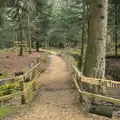 The Tall Trees trail, The Ornamental Drive, Rhinefield, New Forest - 20th March 2013