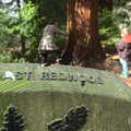 A Coast Redwood sign, The Ornamental Drive, Rhinefield, New Forest - 20th March 2013