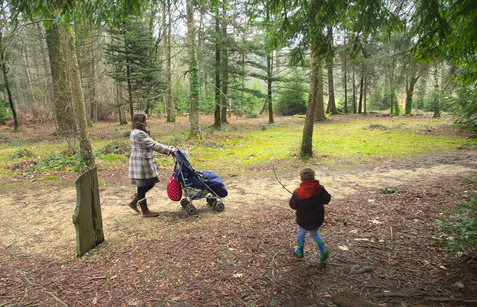 Fred roams around with a stick, from The Ornamental Drive, Rhinefield, New Forest - 20th March 2013