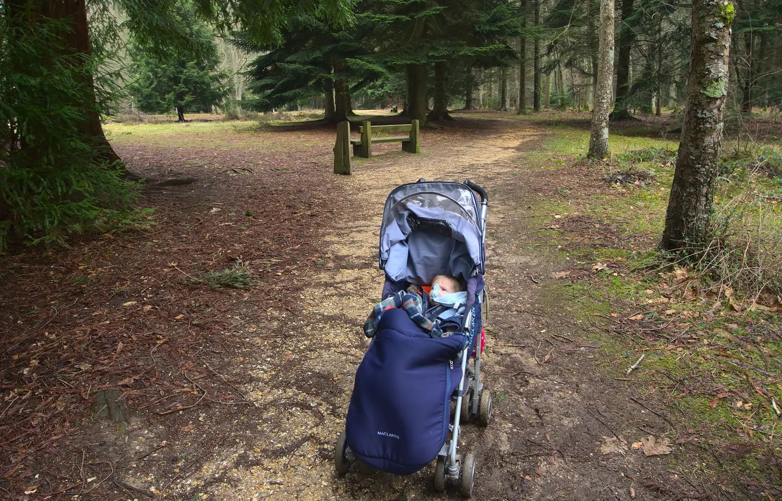 Harry's stuck in his buggy, from The Ornamental Drive, Rhinefield, New Forest - 20th March 2013