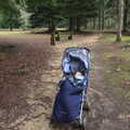 Harry's stuck in his buggy, The Ornamental Drive, Rhinefield, New Forest - 20th March 2013