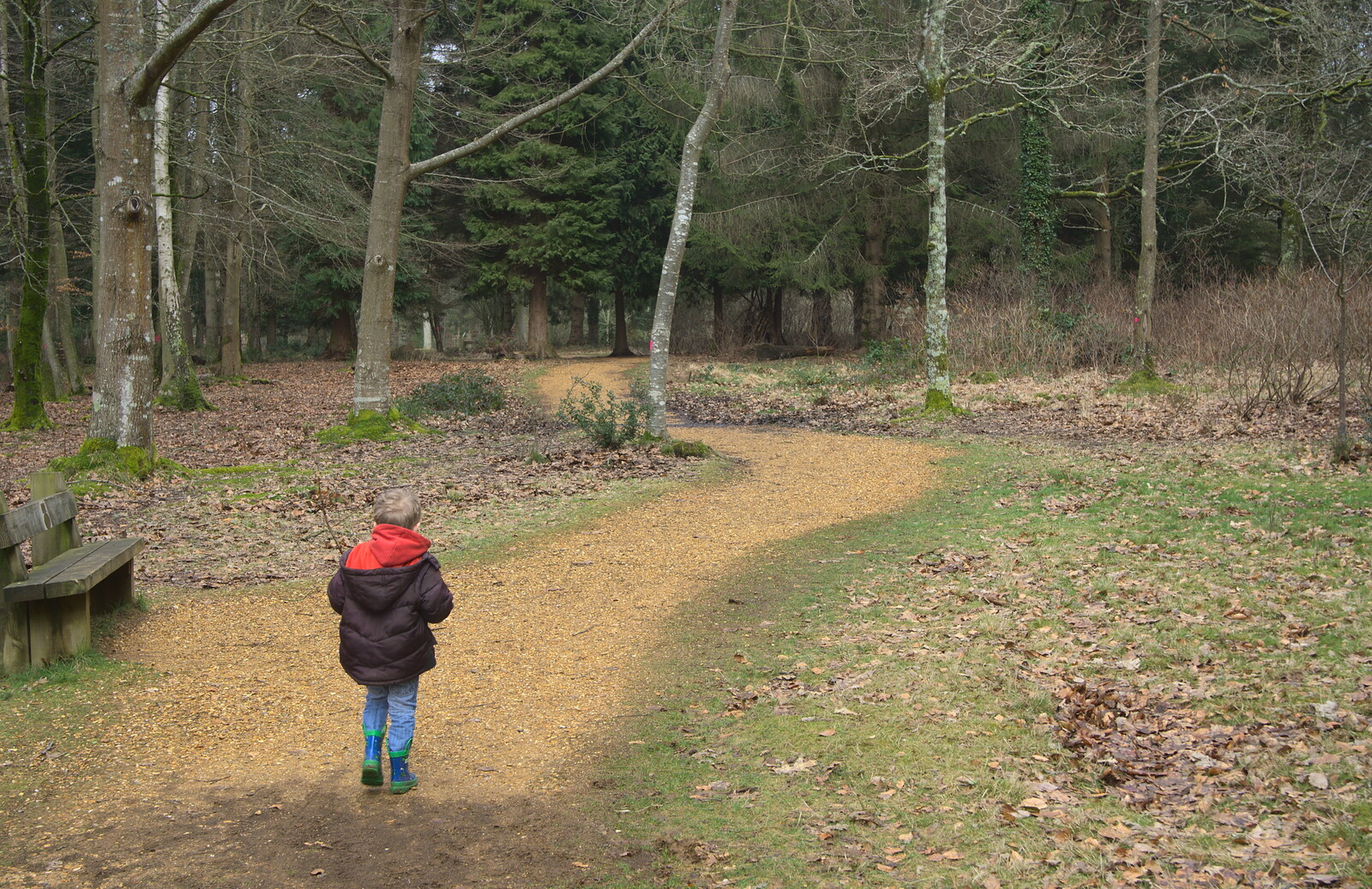 Fred wanders off from The Ornamental Drive, Rhinefield, New Forest - 20th March 2013