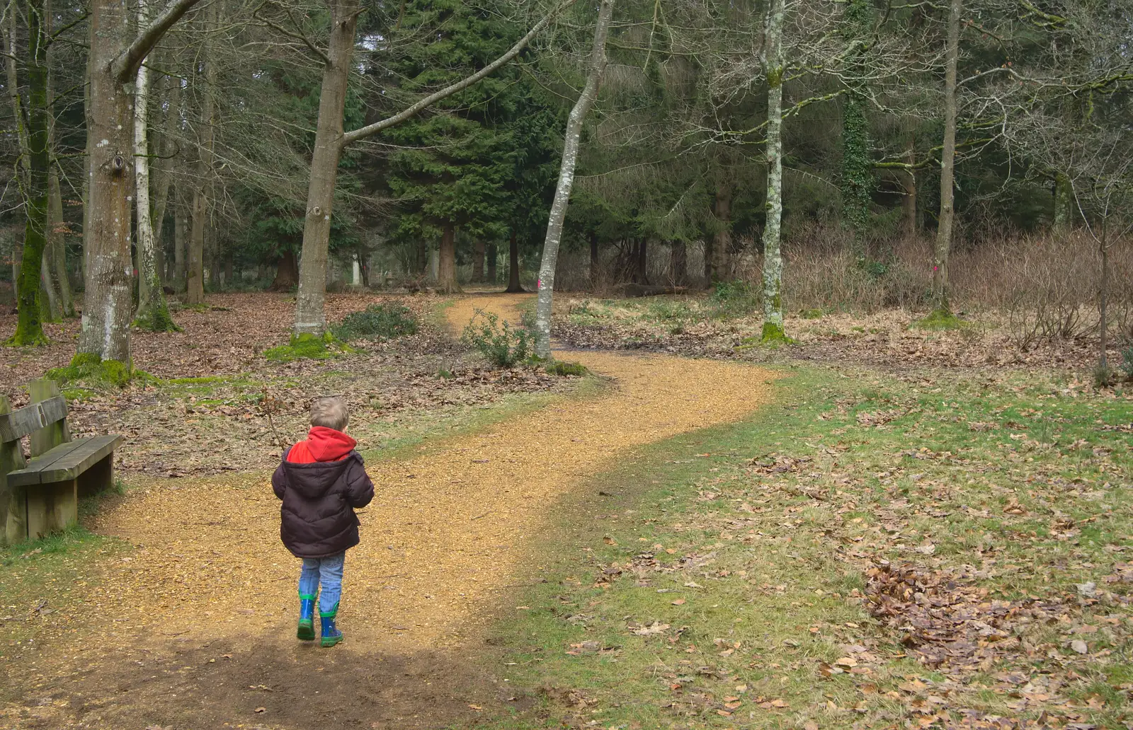 Fred wanders off, from The Ornamental Drive, Rhinefield, New Forest - 20th March 2013