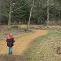 Fred wanders off, The Ornamental Drive, Rhinefield, New Forest - 20th March 2013
