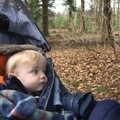 Harry looks out at the forest, The Ornamental Drive, Rhinefield, New Forest - 20th March 2013