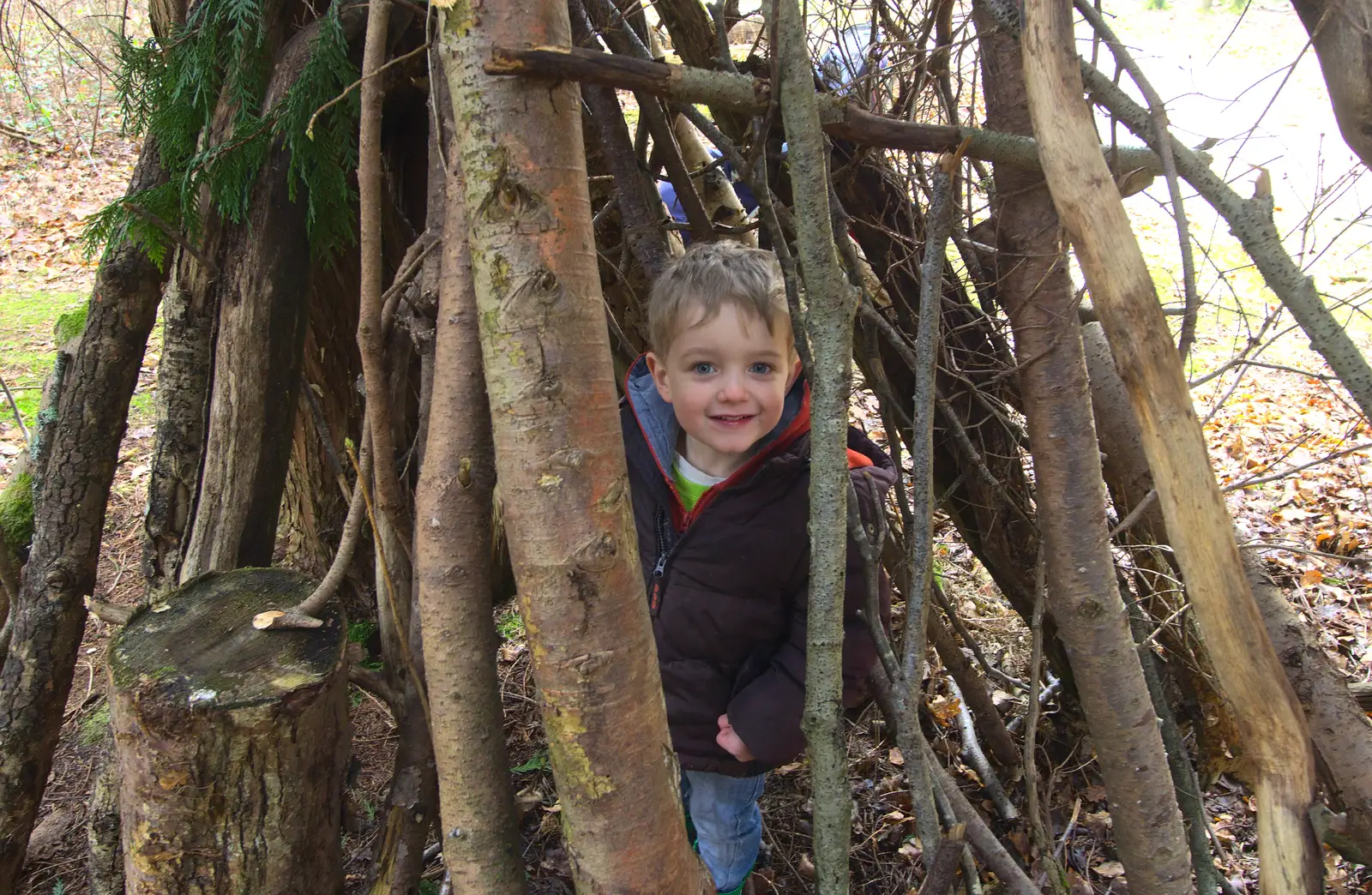 Fred's found a den, from The Ornamental Drive, Rhinefield, New Forest - 20th March 2013