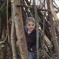 Fred's found a den, The Ornamental Drive, Rhinefield, New Forest - 20th March 2013