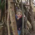 Fred's found a den, The Ornamental Drive, Rhinefield, New Forest - 20th March 2013