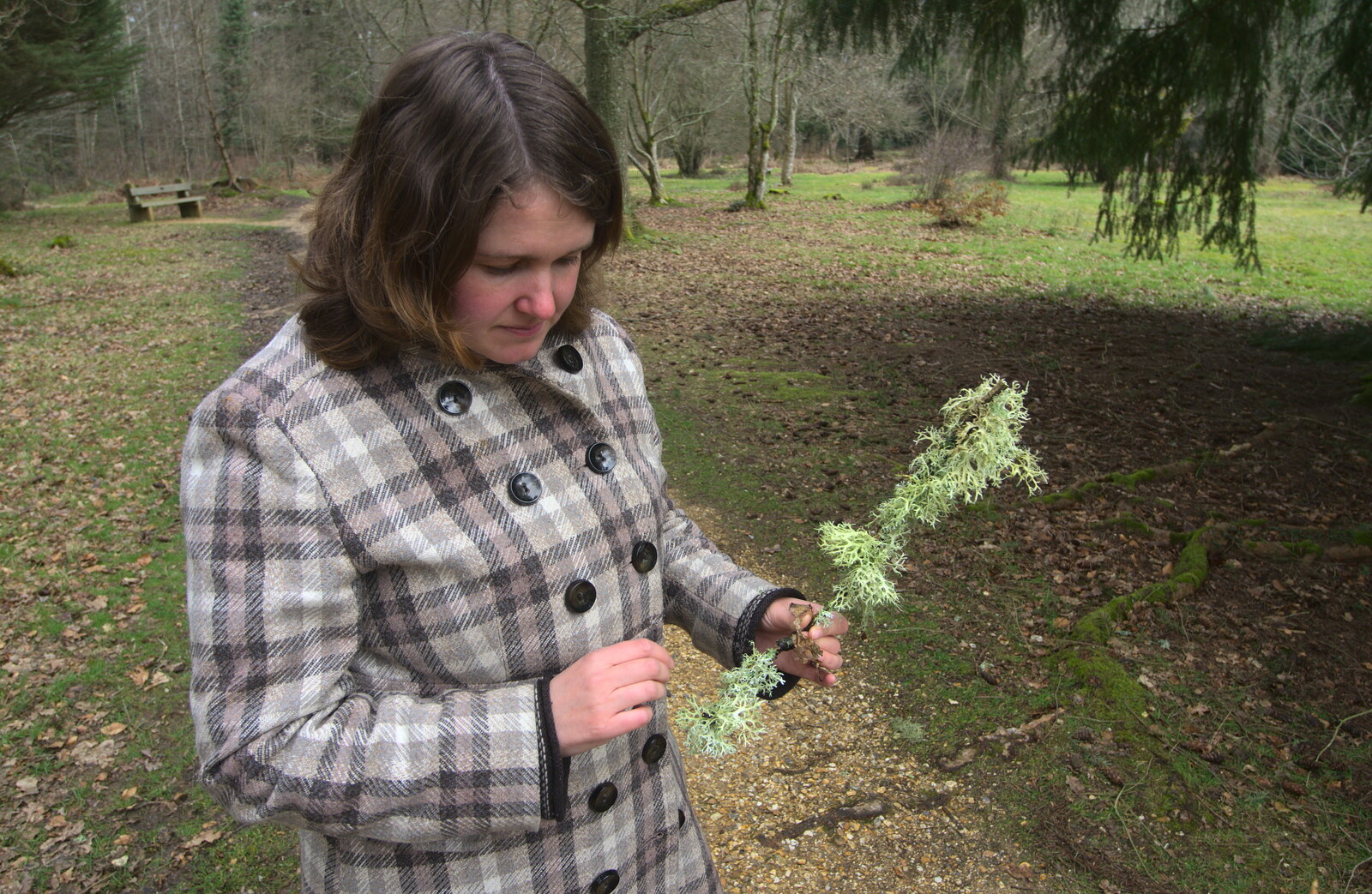 Isobel finds some bright-green lichen from The Ornamental Drive, Rhinefield, New Forest - 20th March 2013