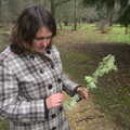 Isobel finds some bright-green lichen, The Ornamental Drive, Rhinefield, New Forest - 20th March 2013