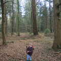 A small Fred surrounded by tall trees, The Ornamental Drive, Rhinefield, New Forest - 20th March 2013