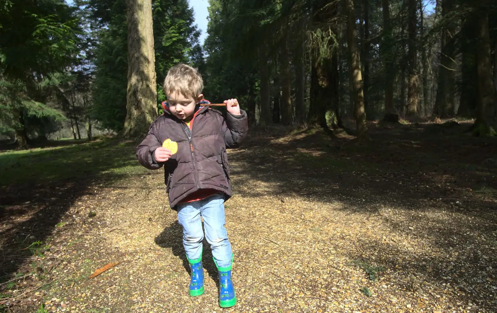 Fred eats a biscuit, from The Ornamental Drive, Rhinefield, New Forest - 20th March 2013