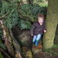 Fred on a tree stump, The Ornamental Drive, Rhinefield, New Forest - 20th March 2013