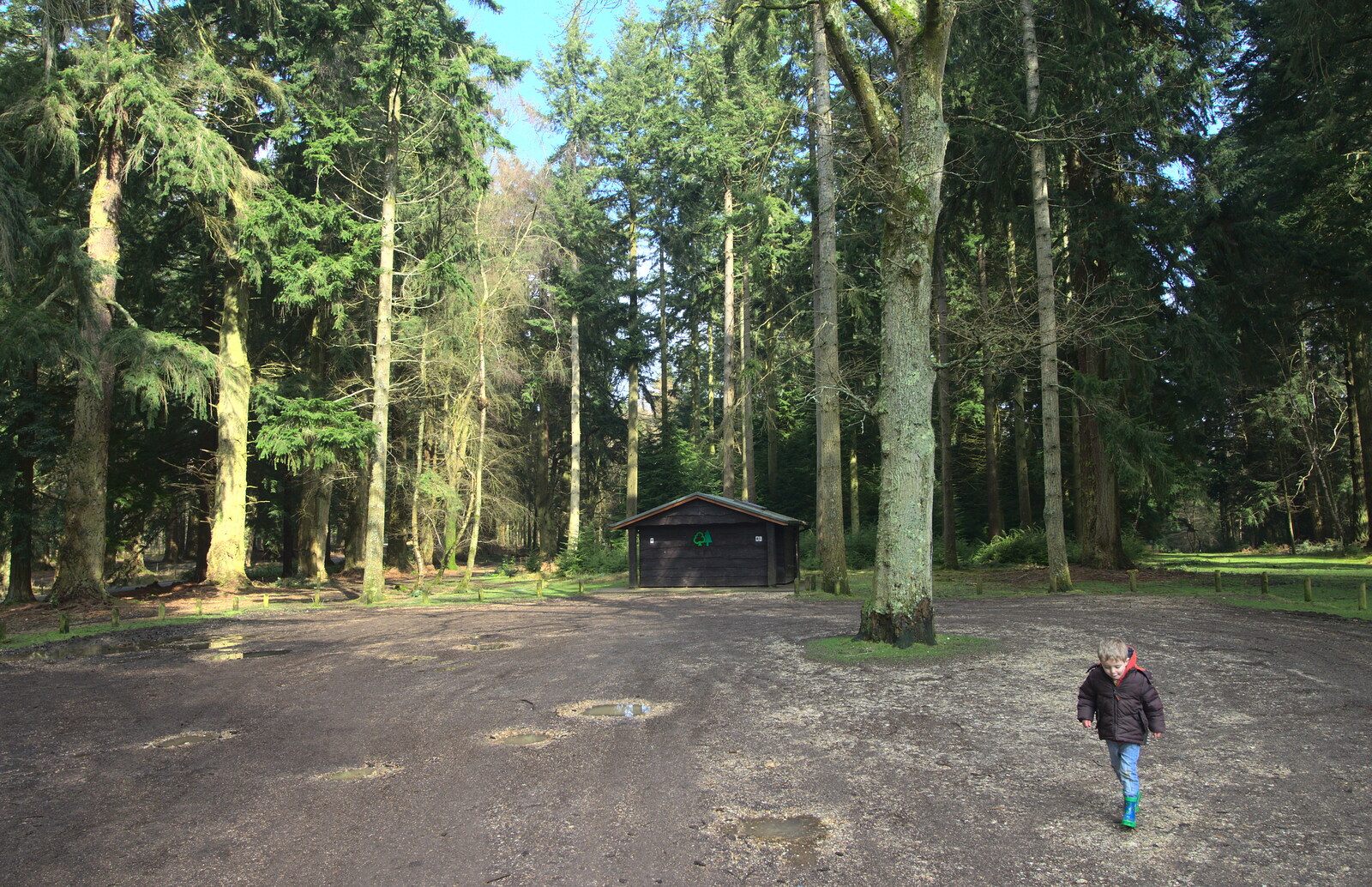 A Forestry Commission hut from The Ornamental Drive, Rhinefield, New Forest - 20th March 2013