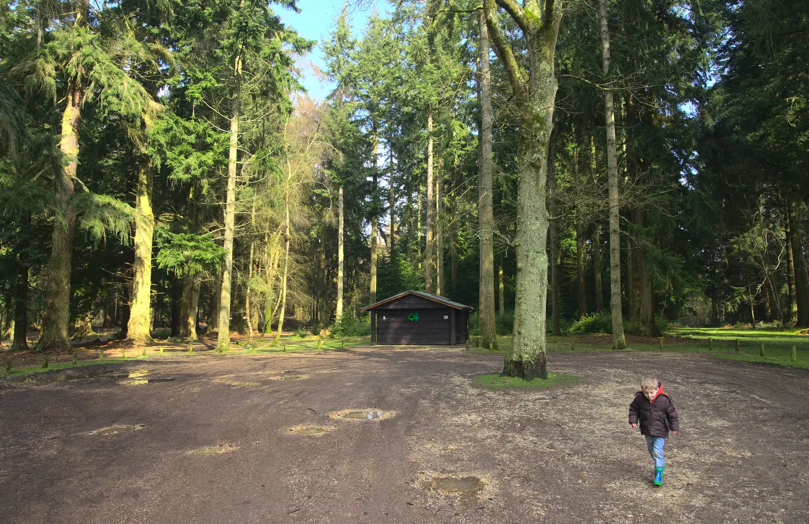 A Forestry Commission hut, from The Ornamental Drive, Rhinefield, New Forest - 20th March 2013