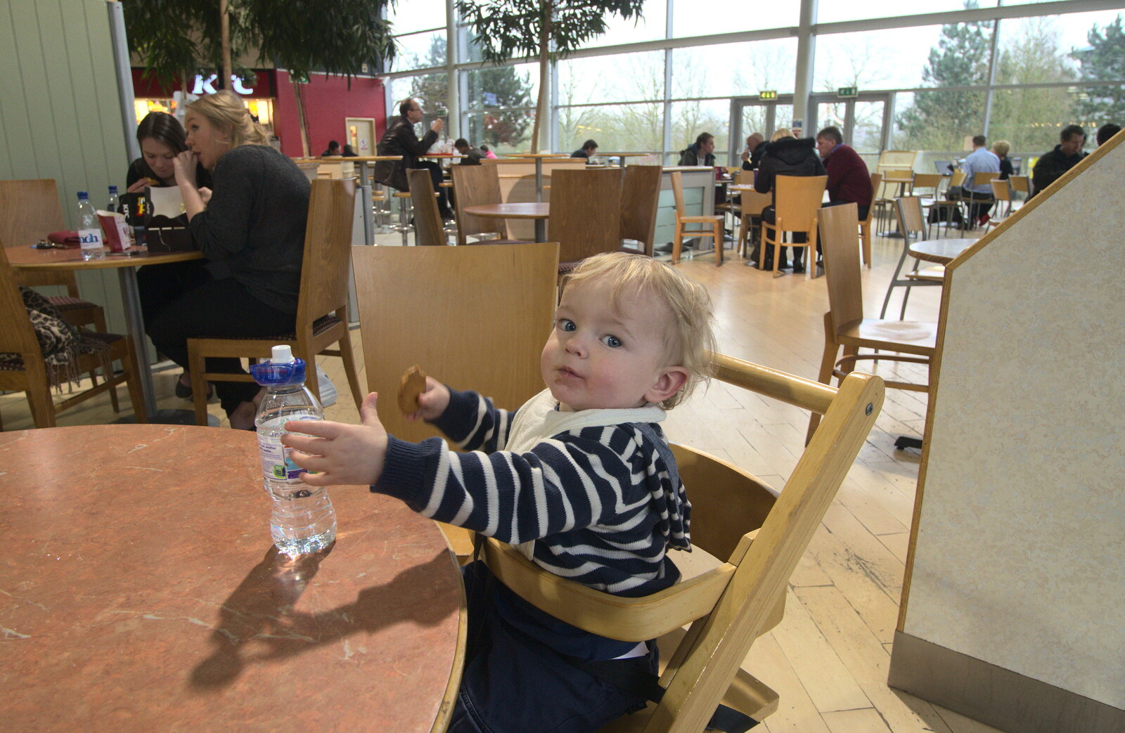 Harry in South Mimms services from The Ornamental Drive, Rhinefield, New Forest - 20th March 2013