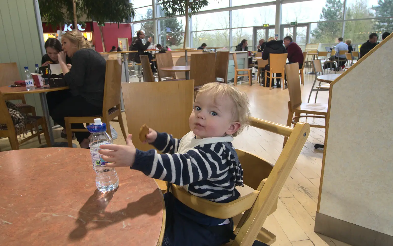 Harry in South Mimms services, from The Ornamental Drive, Rhinefield, New Forest - 20th March 2013