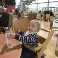 Harry in South Mimms services, The Ornamental Drive, Rhinefield, New Forest - 20th March 2013