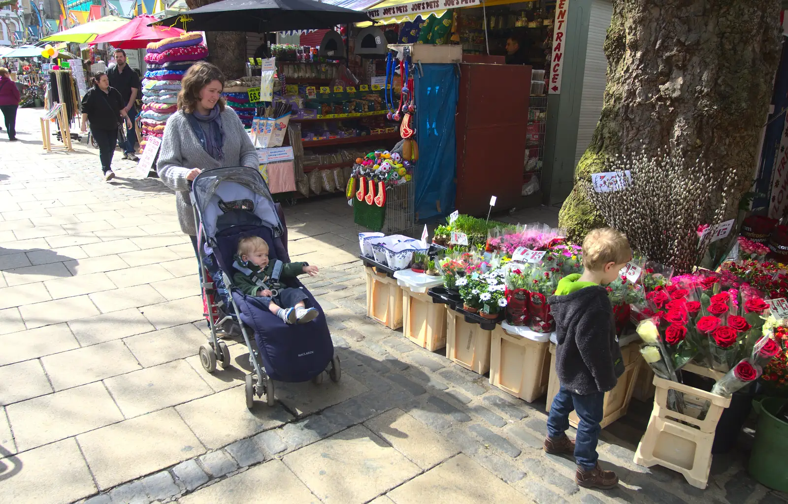 Fred looks at flowers, from A Very Random Norwich Day, and The BBs at Laxfield, Norfolk and Suffolk - 13th April 2013