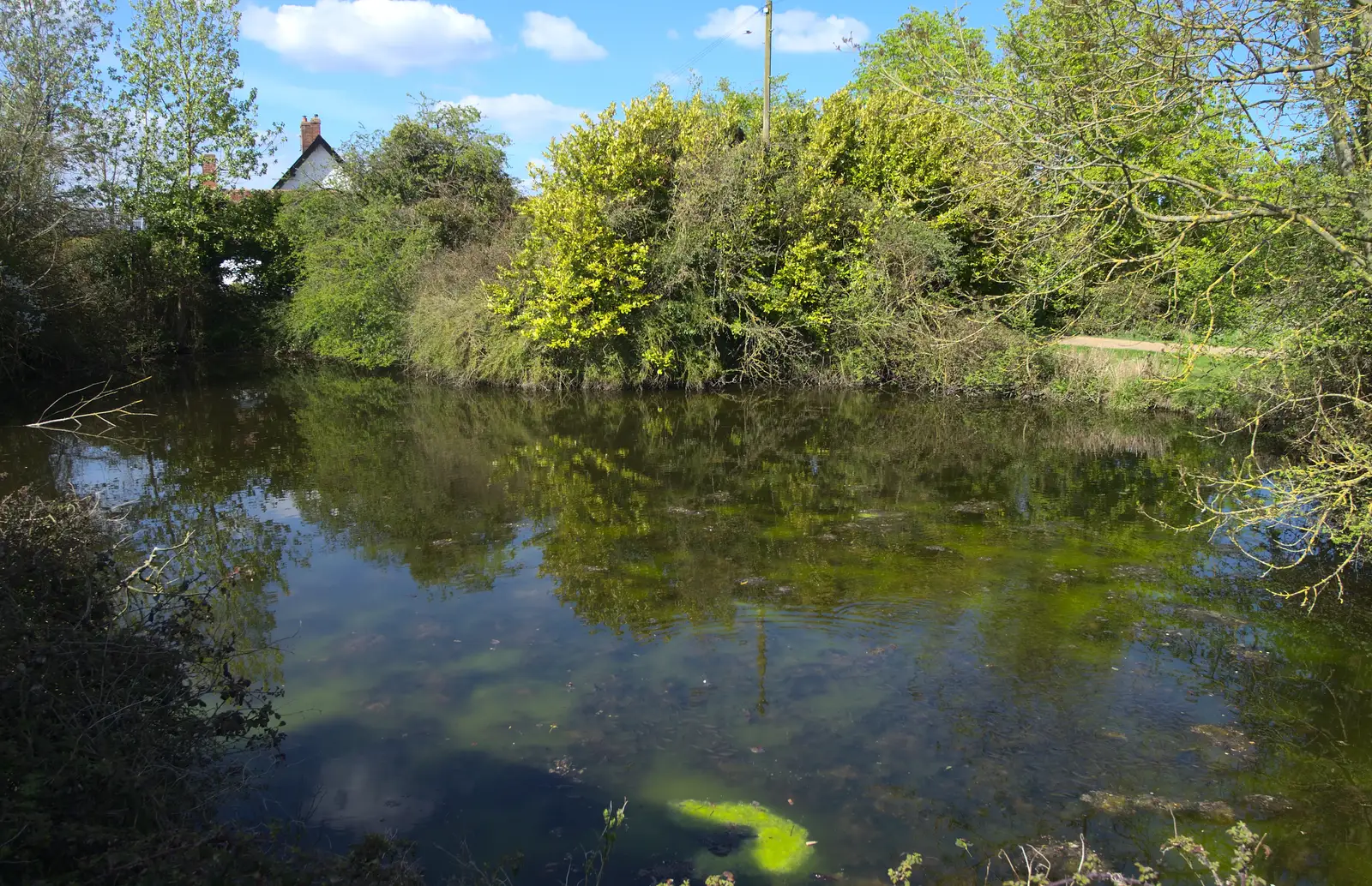 The algae-stuffed pond behind Mellis village hall, from Rosie and Henry's Birthday Party, Mellis, Suffolk - 5th May 2013