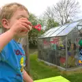 Fred blows bubbles, Bank Holiday Flowers, Brome, Suffolk - 6th May 2013