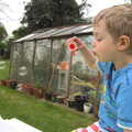Fred blows bubbles near the greenhouse, Bank Holiday Flowers, Brome, Suffolk - 6th May 2013