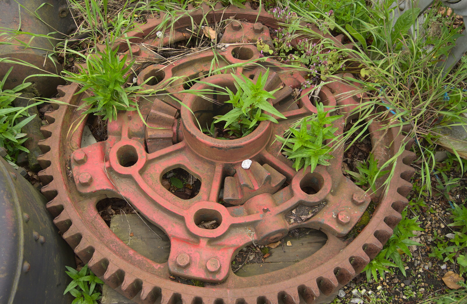 A red cog and some green weeds from A Day at Bressingham Steam and Gardens, Diss, Norfolk - 18th May 2013