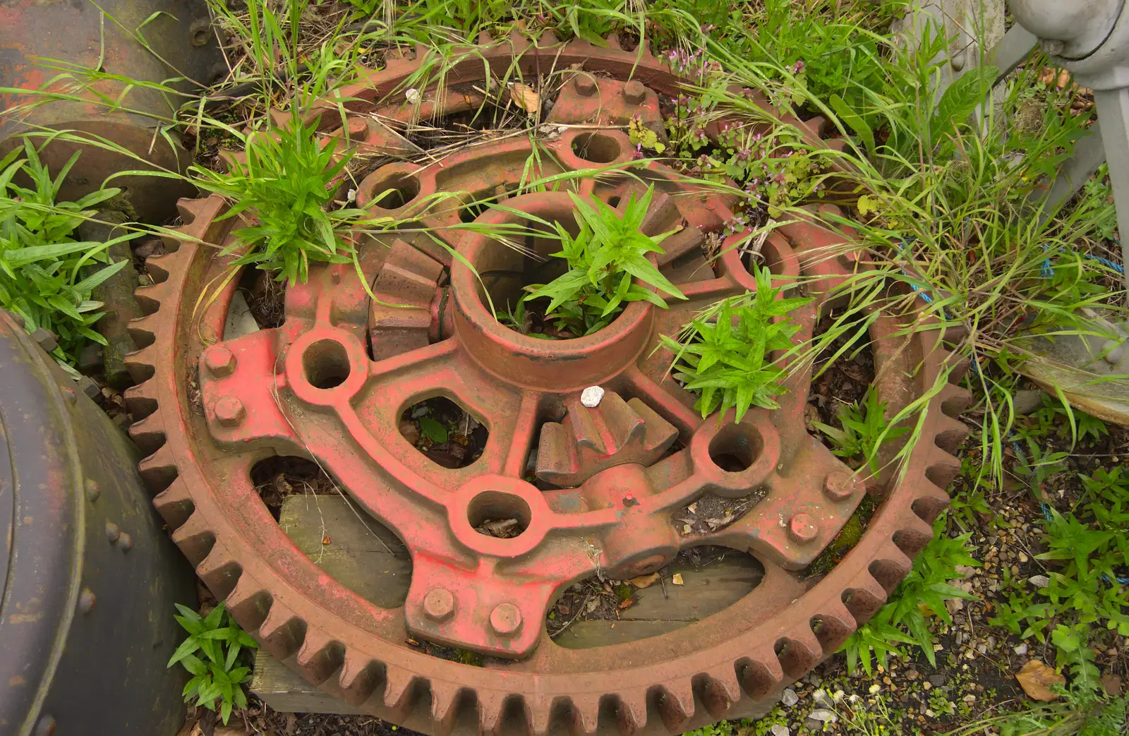 A red cog and some green weeds, from A Day at Bressingham Steam and Gardens, Diss, Norfolk - 18th May 2013