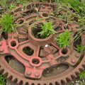 A red cog and some green weeds, A Day at Bressingham Steam and Gardens, Diss, Norfolk - 18th May 2013