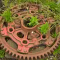 A red cog and some green weeds, A Day at Bressingham Steam and Gardens, Diss, Norfolk - 18th May 2013