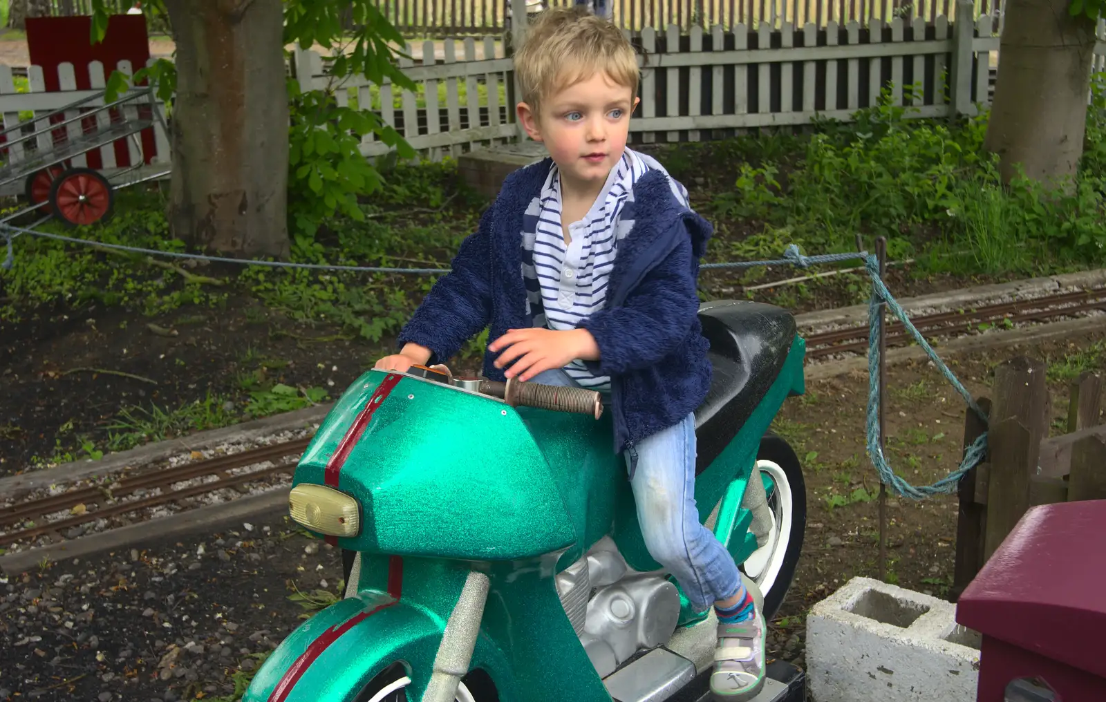 Fred looks around, from A Day at Bressingham Steam and Gardens, Diss, Norfolk - 18th May 2013