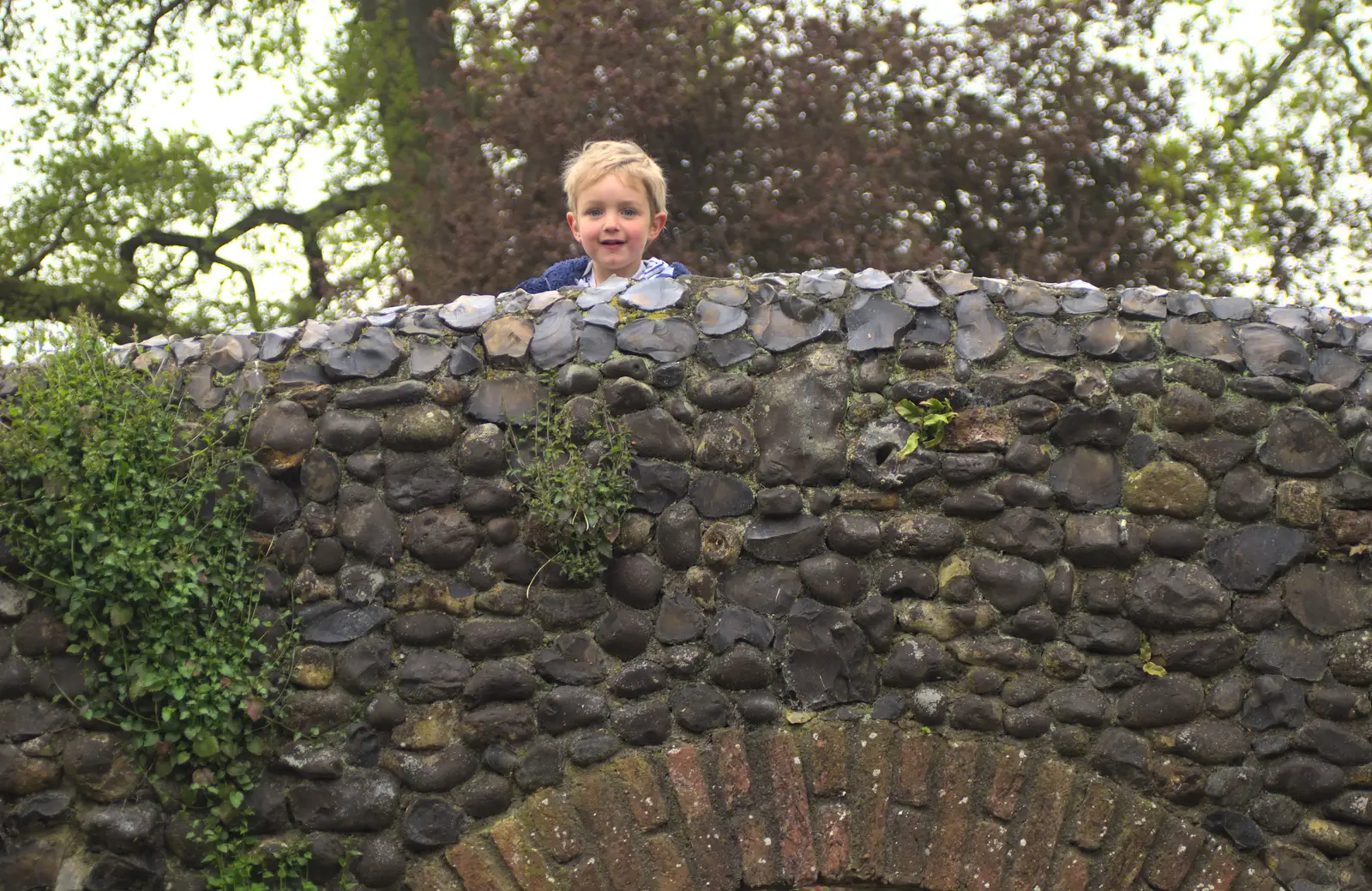 Fred sticks his head over the top of the bridge, from A Day at Bressingham Steam and Gardens, Diss, Norfolk - 18th May 2013