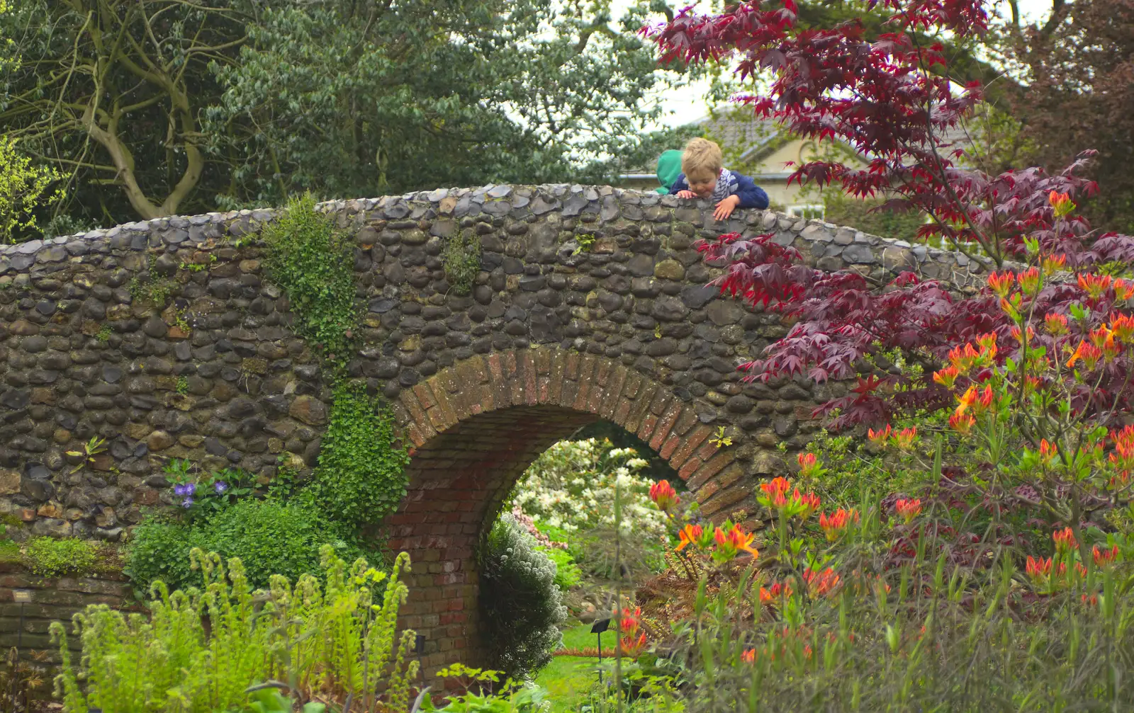 Fred looks down from the bridge, from A Day at Bressingham Steam and Gardens, Diss, Norfolk - 18th May 2013