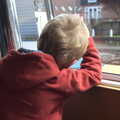 Fred looks out of the window, A Trip on the Norfolk Broads, Wroxham, Norfolk - 25th May 2013