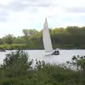 More sailing on the broads, A Trip on the Norfolk Broads, Wroxham, Norfolk - 25th May 2013