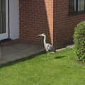 A heron lurks in a front garden, A Trip on the Norfolk Broads, Wroxham, Norfolk - 25th May 2013