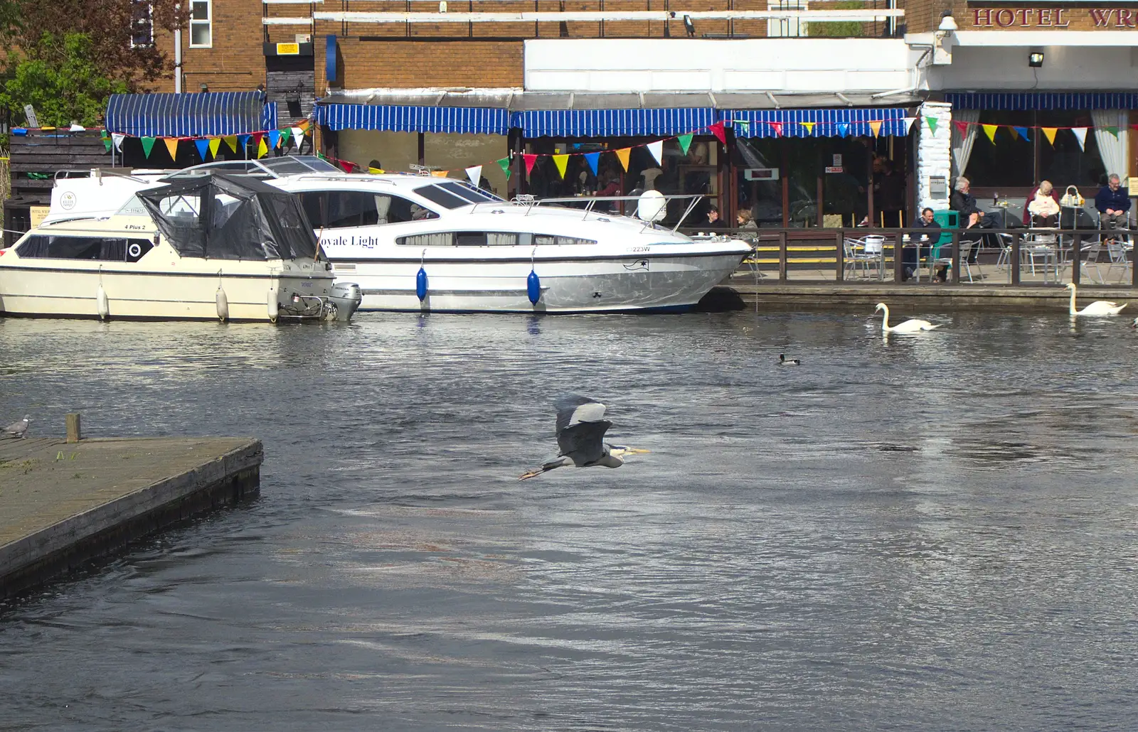 The Heron wings it, from A Trip on the Norfolk Broads, Wroxham, Norfolk - 25th May 2013