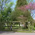 Isobel roams around, The Bure Valley Railway, Aylsham, Norfolk - 26th May 2013