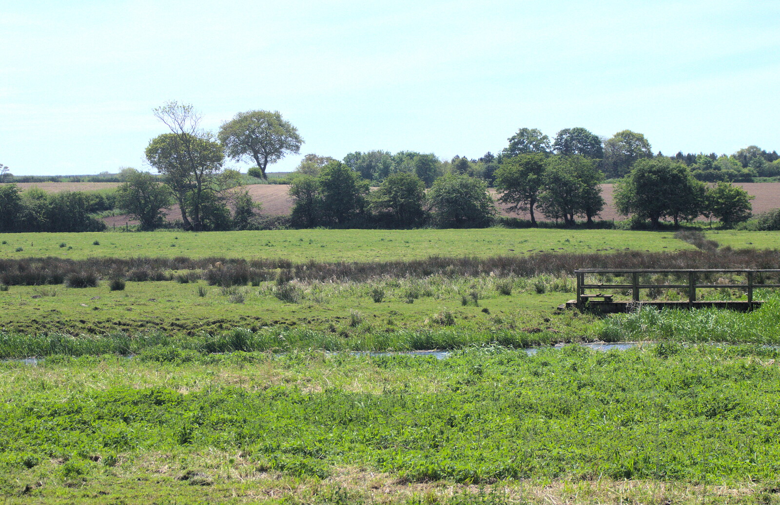 The river valley near Brampton from The Bure Valley Railway, Aylsham, Norfolk - 26th May 2013