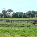 The river valley near Brampton, The Bure Valley Railway, Aylsham, Norfolk - 26th May 2013