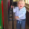 Harry thinks it's hysterical running around, The Bure Valley Railway, Aylsham, Norfolk - 26th May 2013