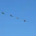 Thunderbolt, Mustang, Hurricane and Spitfire, A "Sally B" B-17 Flypast, Thorpe Abbots, Norfolk - 27th May 2013