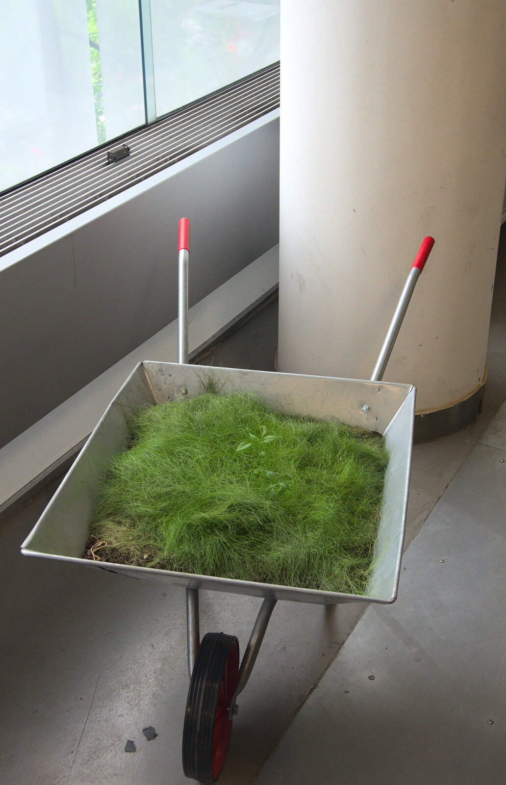 A bizarre prop: fake grass in a wheelbarrow from A SwiftKey Hack Day, Westminster, London - 31st May 2013