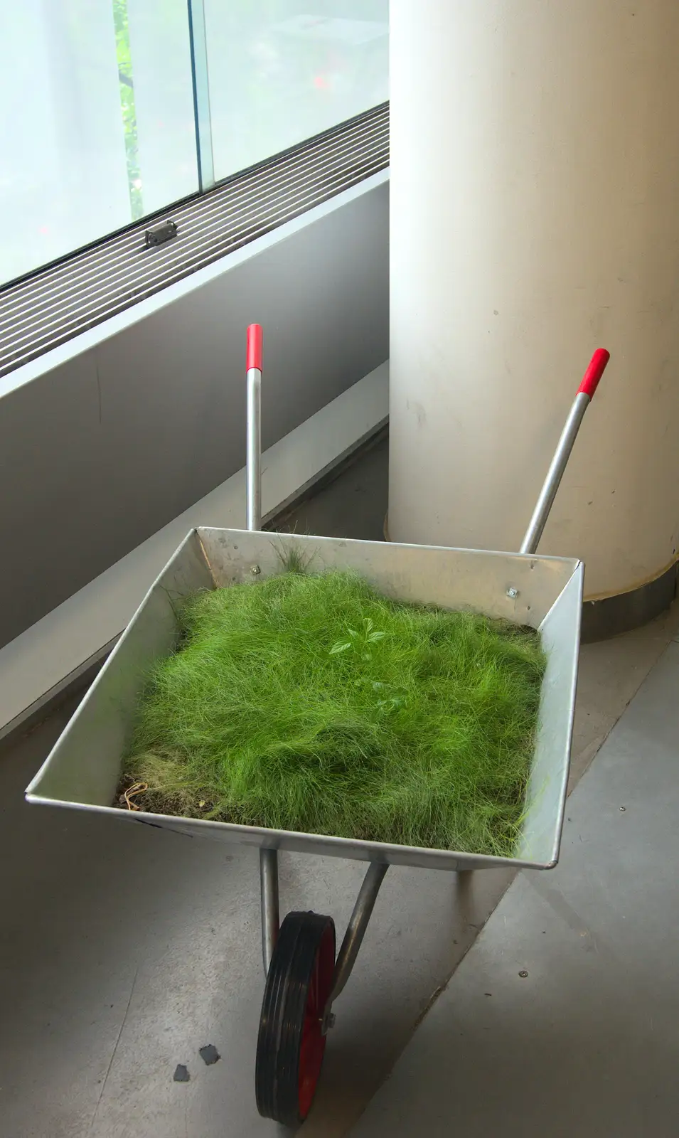 A bizarre prop: fake grass in a wheelbarrow, from A SwiftKey Hack Day, Westminster, London - 31st May 2013