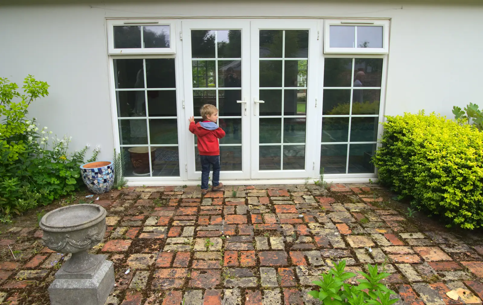 Fred peers into an indoor swimming pool, from Eye Open Gardens, Suffolk - 1st June 2013