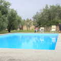 2013 The swimming pool