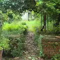 An overgrown garden, Marconi, Arezzo and the Sagra del Maccherone Festival, Battifolle, Tuscany - 9th June 2013