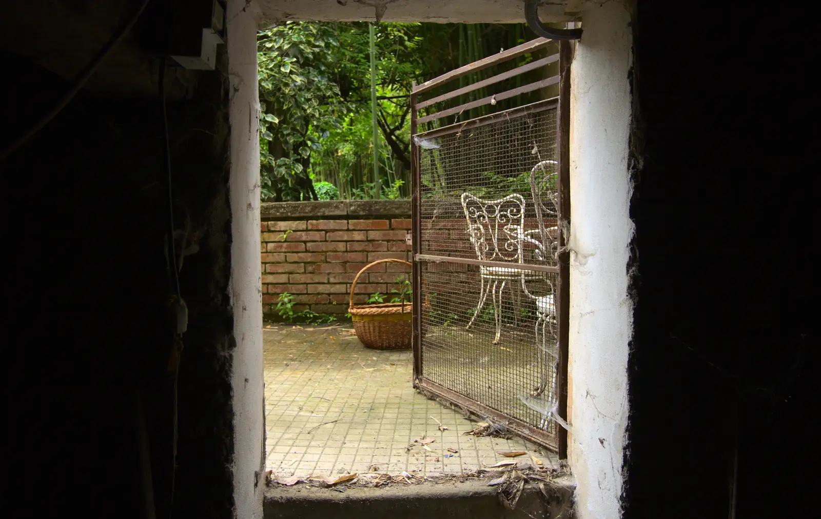 A cellar's-eye view of the garden, from Marconi, Arezzo and the Sagra del Maccherone Festival, Battifolle, Tuscany - 9th June 2013